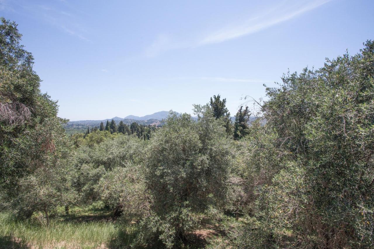 Olive Tree House Villa Evropouloi Esterno foto